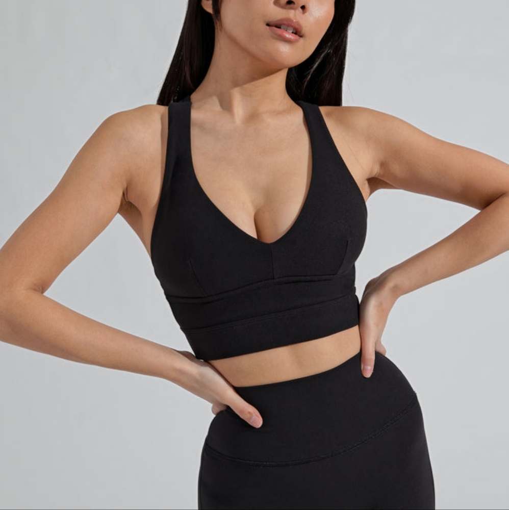 Alpha Sports Bra